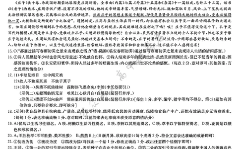 高三语文参考答案提示及评分细则__2025年2月_2502062025年九师联盟高三2月开学考（2.6-7）