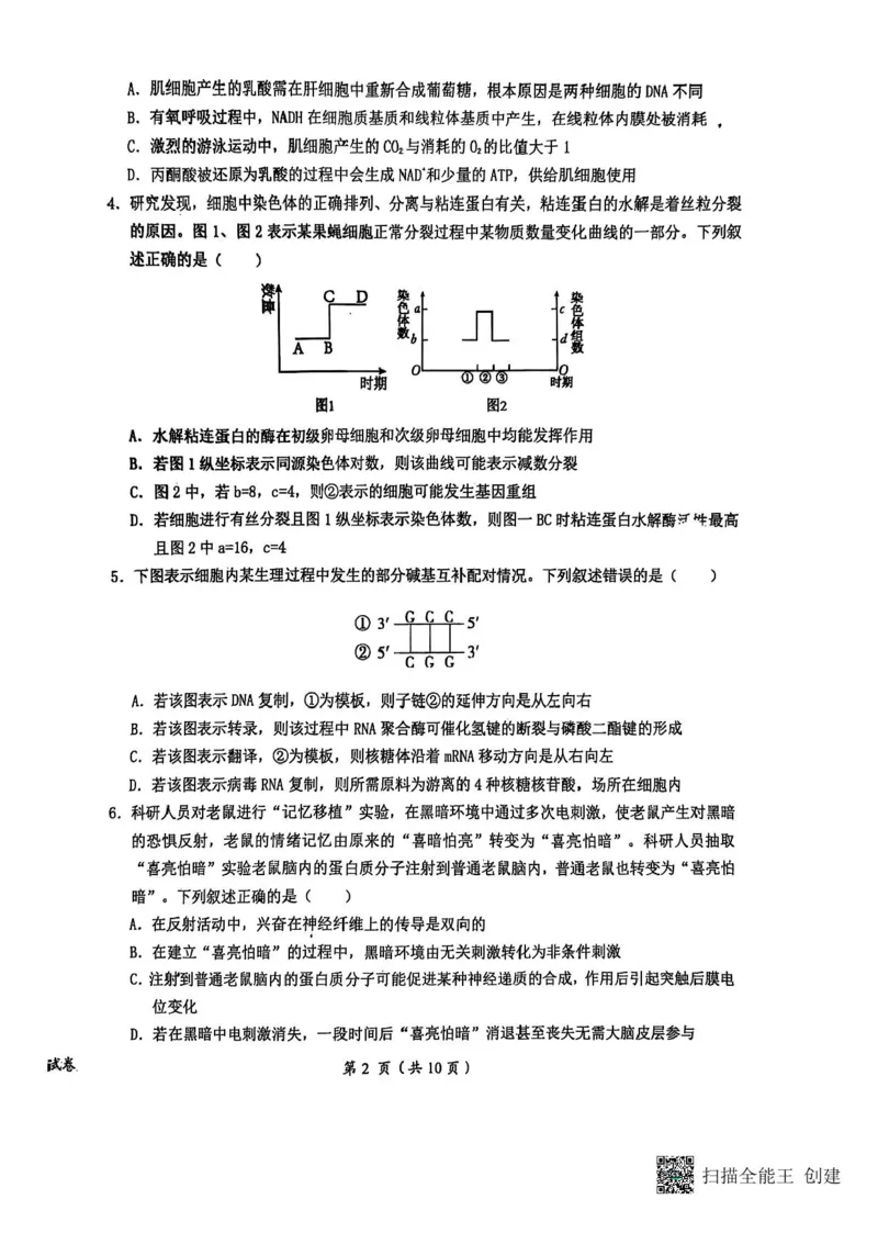 江西省鹰潭市2024-2025学年高三下学期第一次模拟考试生物试题（含答案）_2025年3月_250324江西省鹰潭市2024-2025学年高三下学期第一次模拟考试（全科）