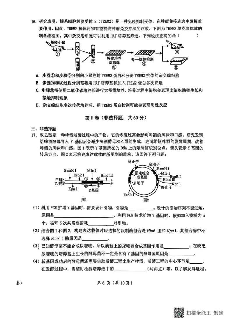 江西省鹰潭市2024-2025学年高三下学期第一次模拟考试生物试题（含答案）_2025年3月_250324江西省鹰潭市2024-2025学年高三下学期第一次模拟考试（全科）