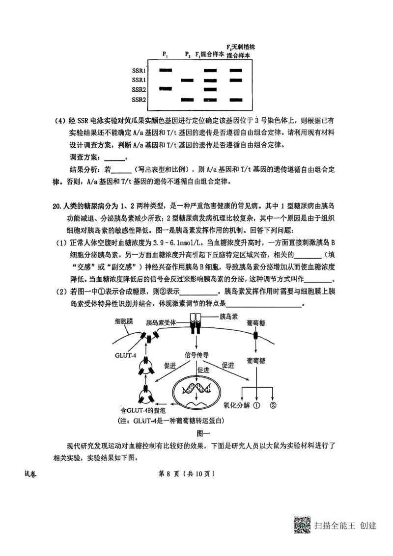 江西省鹰潭市2024-2025学年高三下学期第一次模拟考试生物试题（含答案）_2025年3月_250324江西省鹰潭市2024-2025学年高三下学期第一次模拟考试（全科）