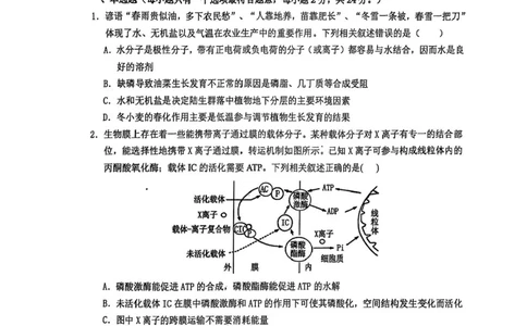 江西省鹰潭市2024-2025学年高三下学期第一次模拟考试生物试题（含答案）_2025年3月_250324江西省鹰潭市2024-2025学年高三下学期第一次模拟考试（全科）
