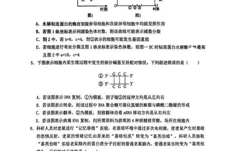 江西省鹰潭市2024-2025学年高三下学期第一次模拟考试生物试题（含答案）_2025年3月_250324江西省鹰潭市2024-2025学年高三下学期第一次模拟考试（全科）