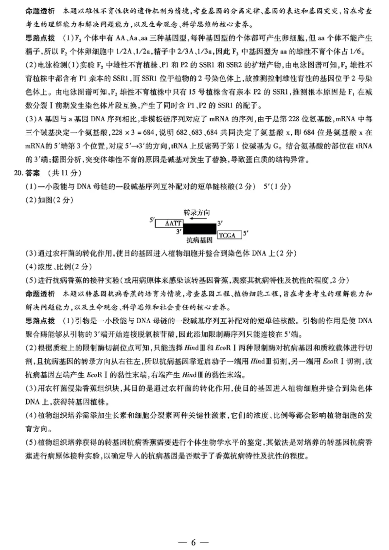 安徽省天一大联考2025届高三3月调研考试生物_2025年3月_250308安徽省天一大联考2025届高三3月调研考试（全科）_安徽省天一大联考2025届高三3月调研考试生物