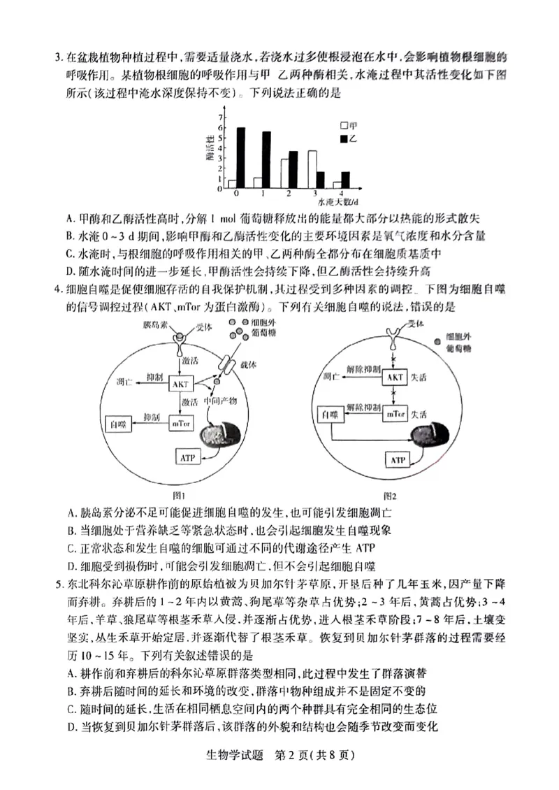 安徽省天一大联考2025届高三3月调研考试生物_2025年3月_250308安徽省天一大联考2025届高三3月调研考试（全科）_安徽省天一大联考2025届高三3月调研考试生物