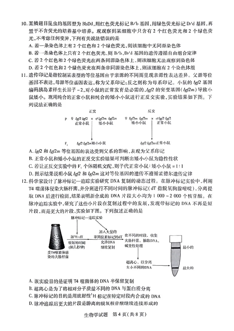 安徽省天一大联考2025届高三3月调研考试生物_2025年3月_250308安徽省天一大联考2025届高三3月调研考试（全科）_安徽省天一大联考2025届高三3月调研考试生物