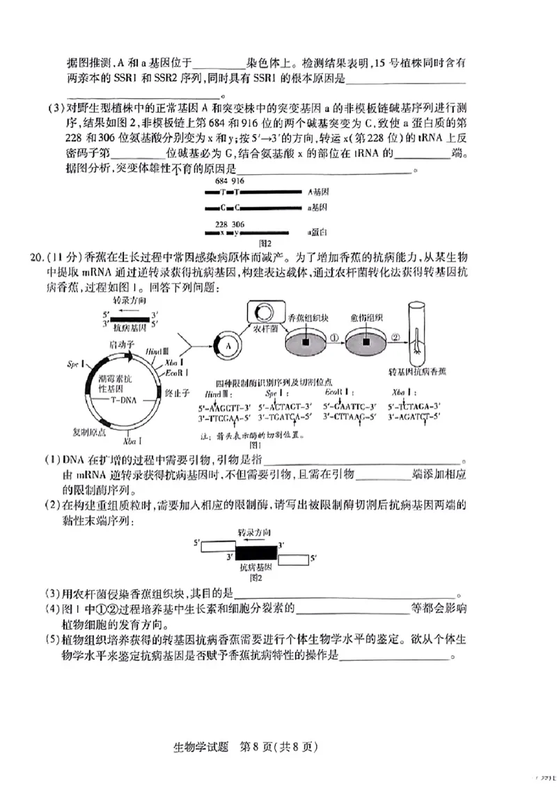 安徽省天一大联考2025届高三3月调研考试生物_2025年3月_250308安徽省天一大联考2025届高三3月调研考试（全科）_安徽省天一大联考2025届高三3月调研考试生物