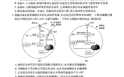 安徽省天一大联考2025届高三3月调研考试生物_2025年3月_250308安徽省天一大联考2025届高三3月调研考试（全科）_安徽省天一大联考2025届高三3月调研考试生物