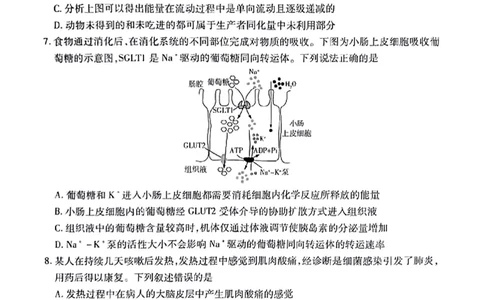 安徽省天一大联考2025届高三3月调研考试生物_2025年3月_250308安徽省天一大联考2025届高三3月调研考试（全科）_安徽省天一大联考2025届高三3月调研考试生物