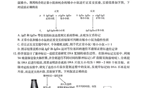 安徽省天一大联考2025届高三3月调研考试生物_2025年3月_250308安徽省天一大联考2025届高三3月调研考试（全科）_安徽省天一大联考2025届高三3月调研考试生物