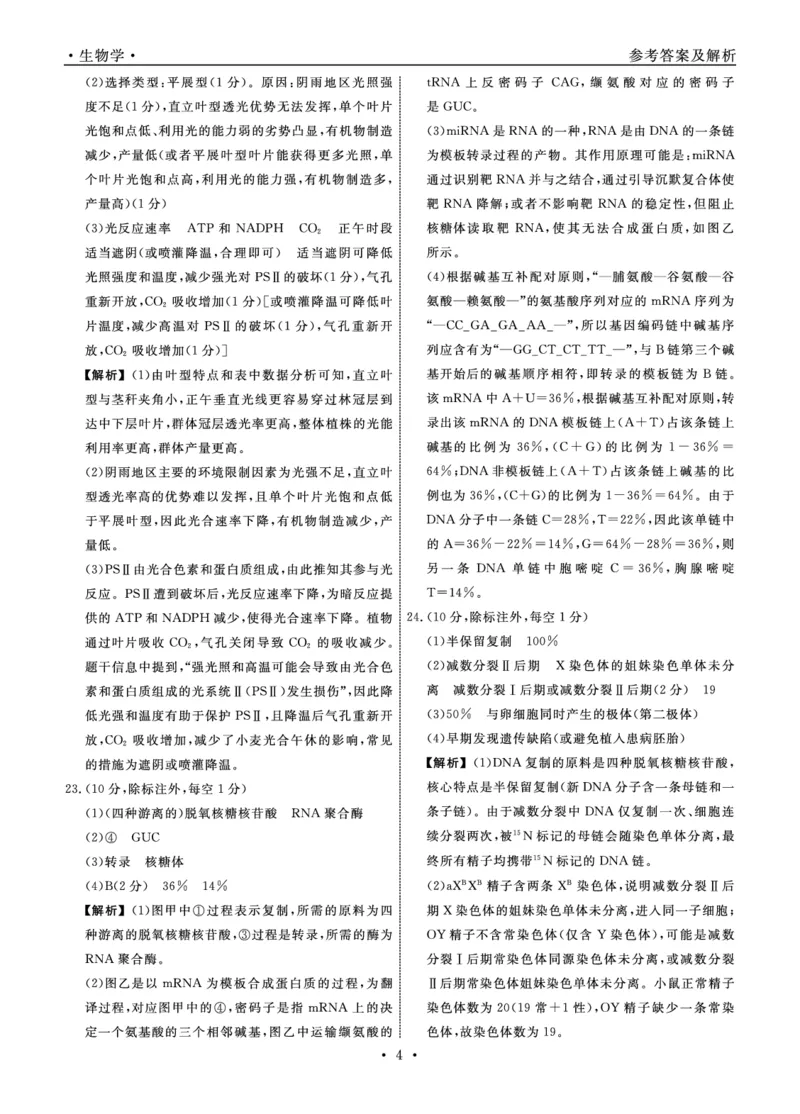 生物2025年辽宁高三10月联考答案_2025年10月_251012辽宁省名校联盟2025年高三10月份联合考试（全科）