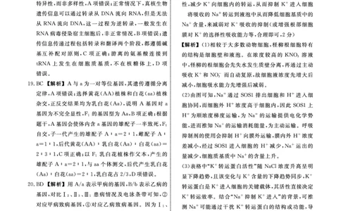生物2025年辽宁高三10月联考答案_2025年10月_251012辽宁省名校联盟2025年高三10月份联合考试（全科）