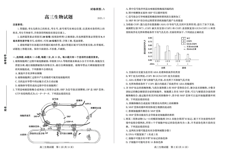 山东省滨州市2024-2025学年高三上学期1月期末考试生物_2025年1月_250113山东省滨州市2024-2025学年高三上学期1月期末考试（全科）_生物