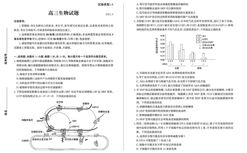 山东省滨州市2024-2025学年高三上学期1月期末考试生物_2025年1月_250113山东省滨州市2024-2025学年高三上学期1月期末考试（全科）_生物