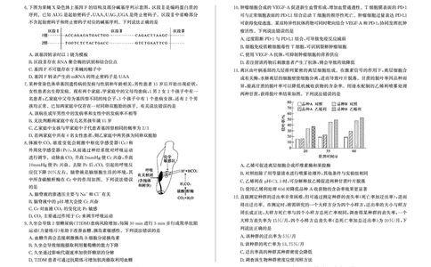 山东省滨州市2024-2025学年高三上学期1月期末考试生物_2025年1月_250113山东省滨州市2024-2025学年高三上学期1月期末考试（全科）_生物