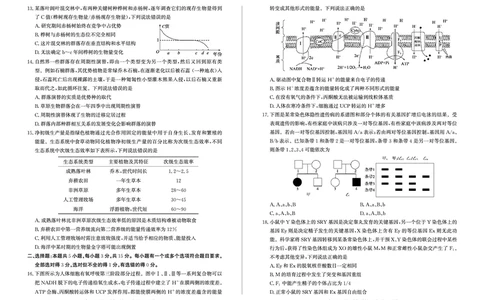 山东省滨州市2024-2025学年高三上学期1月期末考试生物_2025年1月_250113山东省滨州市2024-2025学年高三上学期1月期末考试（全科）_生物