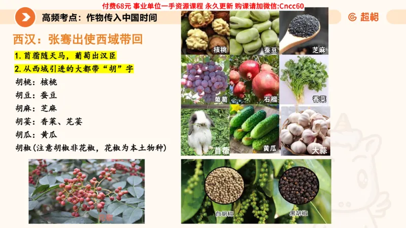 历史常识课件_2026考公资料_（05）超格_行测申论2025超格合集(行测&申论&政治理论)_璐璐2025超G公基＋综合写作全程班(事业单位三支一扶通用)_1.公基（璐璐）_课件