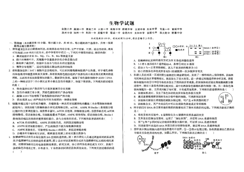 安徽省2024-2025学年高三下学期开学考试生物试题_2025年2月_250208安徽省A10联盟2025届高三下学期开年考_安徽省A10联盟2025届高三下学期开年考生物
