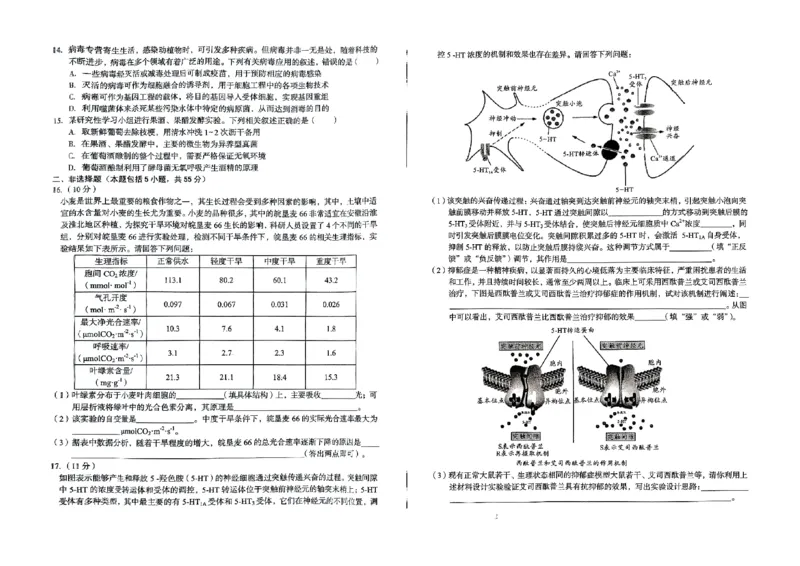 安徽省2024-2025学年高三下学期开学考试生物试题_2025年2月_250208安徽省A10联盟2025届高三下学期开年考_安徽省A10联盟2025届高三下学期开年考生物
