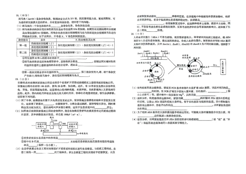 安徽省2024-2025学年高三下学期开学考试生物试题_2025年2月_250208安徽省A10联盟2025届高三下学期开年考_安徽省A10联盟2025届高三下学期开年考生物