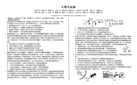 安徽省2024-2025学年高三下学期开学考试生物试题_2025年2月_250208安徽省A10联盟2025届高三下学期开年考_安徽省A10联盟2025届高三下学期开年考生物