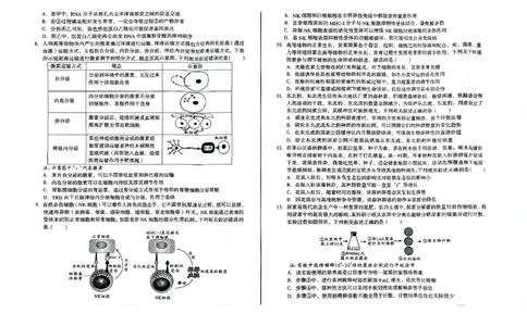 安徽省2024-2025学年高三下学期开学考试生物试题_2025年2月_250208安徽省A10联盟2025届高三下学期开年考_安徽省A10联盟2025届高三下学期开年考生物