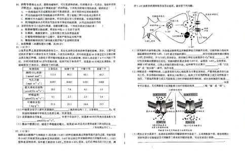 安徽省2024-2025学年高三下学期开学考试生物试题_2025年2月_250208安徽省A10联盟2025届高三下学期开年考_安徽省A10联盟2025届高三下学期开年考生物