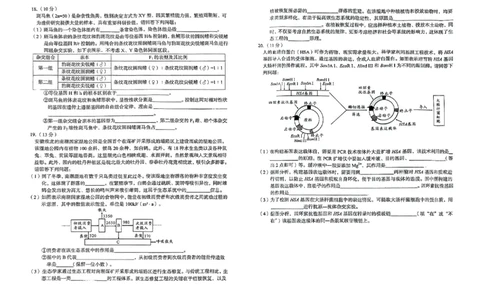 安徽省2024-2025学年高三下学期开学考试生物试题_2025年2月_250208安徽省A10联盟2025届高三下学期开年考_安徽省A10联盟2025届高三下学期开年考生物