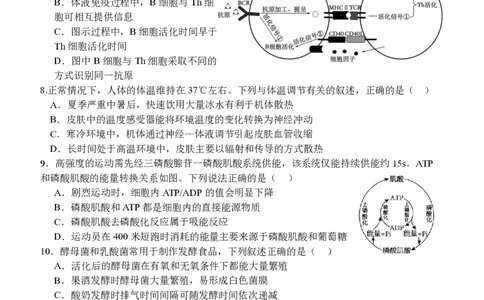 江苏省扬州中学2025届高三上学期1月月考生物+答案_2025年1月_250107江苏省扬州中学2025届高三上学期1月月考