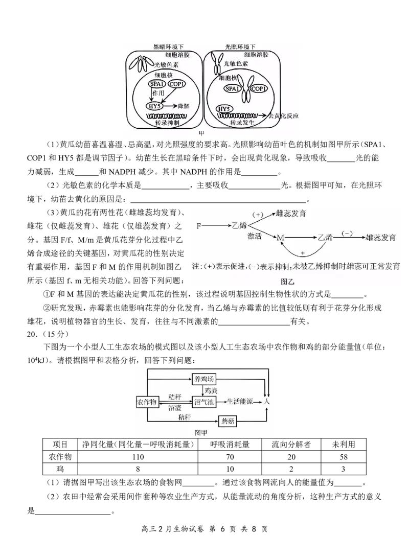 湖北省云学名校联盟2025届高三年级2月联考生物_2025年2月_250219湖北省云学名校联盟2025届高三年级2月联考（全科）_湖北省云学名校联盟2025届高三年级2月联考生物