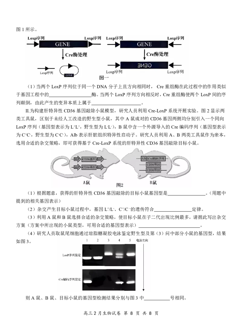 湖北省云学名校联盟2025届高三年级2月联考生物_2025年2月_250219湖北省云学名校联盟2025届高三年级2月联考（全科）_湖北省云学名校联盟2025届高三年级2月联考生物
