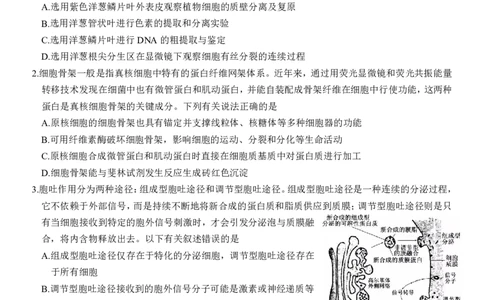 湖北省云学名校联盟2025届高三年级2月联考生物_2025年2月_250219湖北省云学名校联盟2025届高三年级2月联考（全科）_湖北省云学名校联盟2025届高三年级2月联考生物