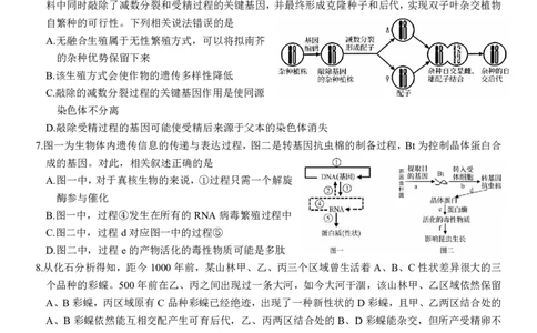 湖北省云学名校联盟2025届高三年级2月联考生物_2025年2月_250219湖北省云学名校联盟2025届高三年级2月联考（全科）_湖北省云学名校联盟2025届高三年级2月联考生物