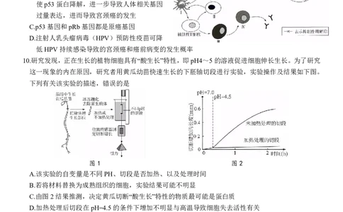 湖北省云学名校联盟2025届高三年级2月联考生物_2025年2月_250219湖北省云学名校联盟2025届高三年级2月联考（全科）_湖北省云学名校联盟2025届高三年级2月联考生物