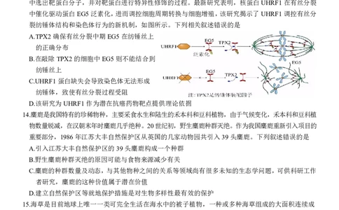 湖北省云学名校联盟2025届高三年级2月联考生物_2025年2月_250219湖北省云学名校联盟2025届高三年级2月联考（全科）_湖北省云学名校联盟2025届高三年级2月联考生物