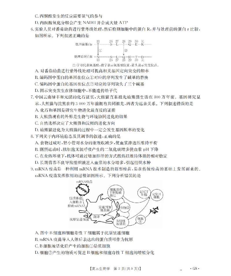 甘肃省金太阳2026届高三9月开学联考（GS）生物_2025年9月_250912甘肃省金太阳2026届高三9月开学联考（26-1002C）（全科）