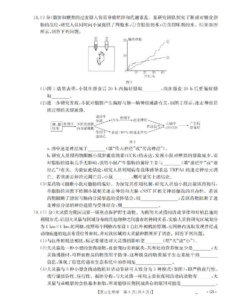 甘肃省金太阳2026届高三9月开学联考（GS）生物_2025年9月_250912甘肃省金太阳2026届高三9月开学联考（26-1002C）（全科）