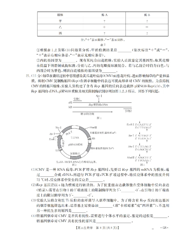 甘肃省金太阳2026届高三9月开学联考（GS）生物_2025年9月_250912甘肃省金太阳2026届高三9月开学联考（26-1002C）（全科）