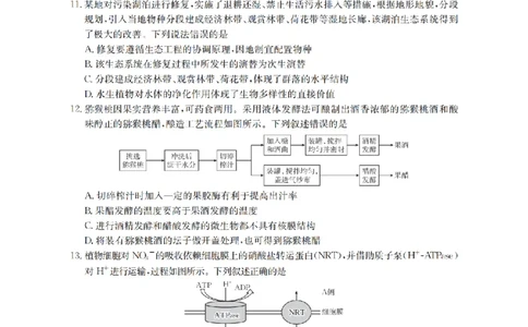 甘肃省金太阳2026届高三9月开学联考（GS）生物_2025年9月_250912甘肃省金太阳2026届高三9月开学联考（26-1002C）（全科）