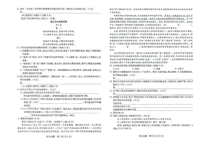 河南天一大联考2024-2025学年下高三年级阶段性测试（七）语文试题（含答案）_2025年4月_250426河南天一大联考2024-2025学年下高三年级阶段性测试（七）（全科）