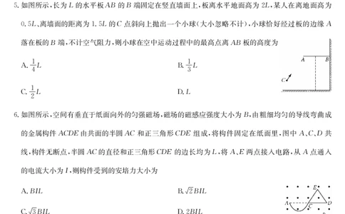 物理-4月质量检测（W）_2025年5月_250511湖北省九师联盟2025届高三4月质量检测（W）（全科）