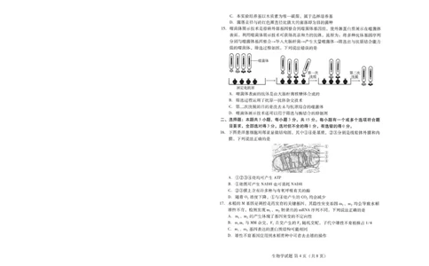 潍坊市2026届高三开学调研监测考试生物_2025年9月_250907山东省潍坊市2026届高三开学调研监测考试（全科）