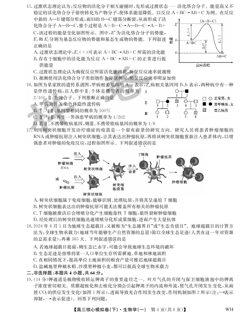 湖北省2025届九师联盟核心模拟卷（下）（样卷）生物_2025年4月_2504022025届九师联盟核心模拟卷（下）（一）（样卷）（全科）
