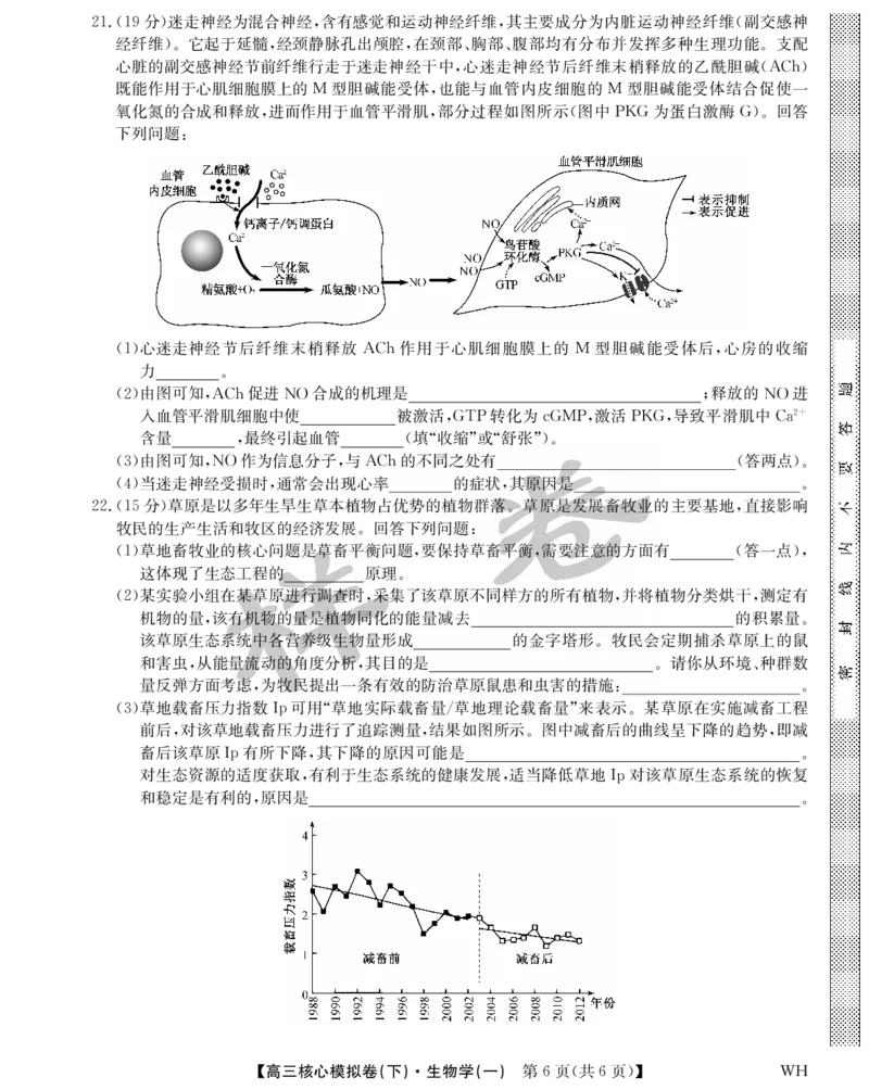 湖北省2025届九师联盟核心模拟卷（下）（样卷）生物_2025年4月_2504022025届九师联盟核心模拟卷（下）（一）（样卷）（全科）