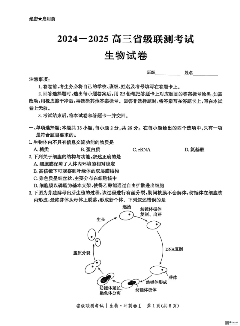 河北省2024-2025高三省级联测考试生物+答案_2025年2月_250227河北省2024-2025高三省级联测考试（冲刺卷I）（全科）