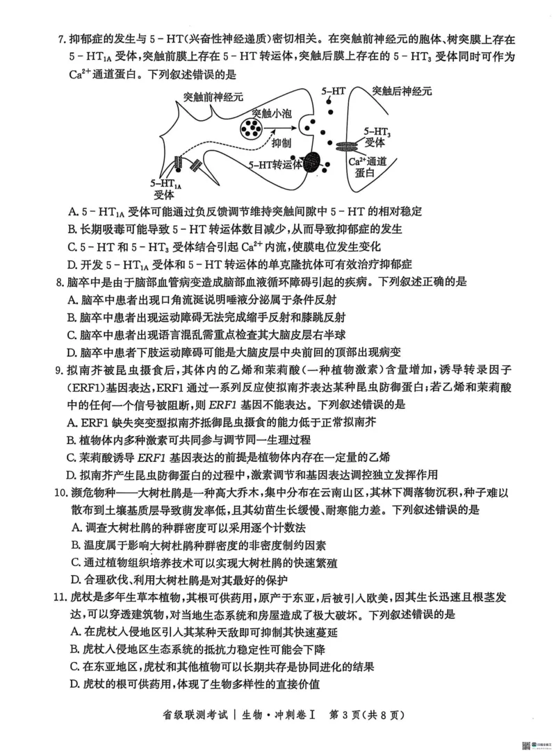 河北省2024-2025高三省级联测考试生物+答案_2025年2月_250227河北省2024-2025高三省级联测考试（冲刺卷I）（全科）