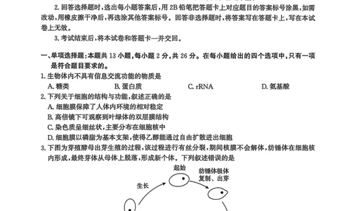 河北省2024-2025高三省级联测考试生物+答案_2025年2月_250227河北省2024-2025高三省级联测考试（冲刺卷I）（全科）