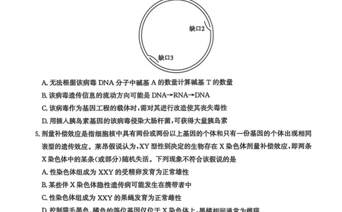 河北省2024-2025高三省级联测考试生物+答案_2025年2月_250227河北省2024-2025高三省级联测考试（冲刺卷I）（全科）