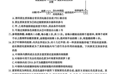 河北省2024-2025高三省级联测考试生物+答案_2025年2月_250227河北省2024-2025高三省级联测考试（冲刺卷I）（全科）