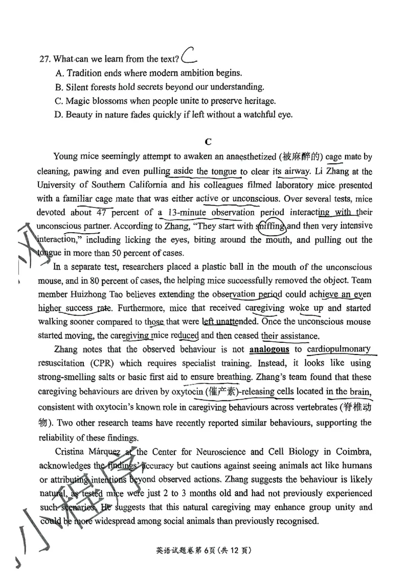 英语安徽省淮北市和淮南市2025届高三第二次质量检测（南北二模）_2025年4月_250424安徽省淮北市和淮南市2025届高三第二次质量检测（全科）