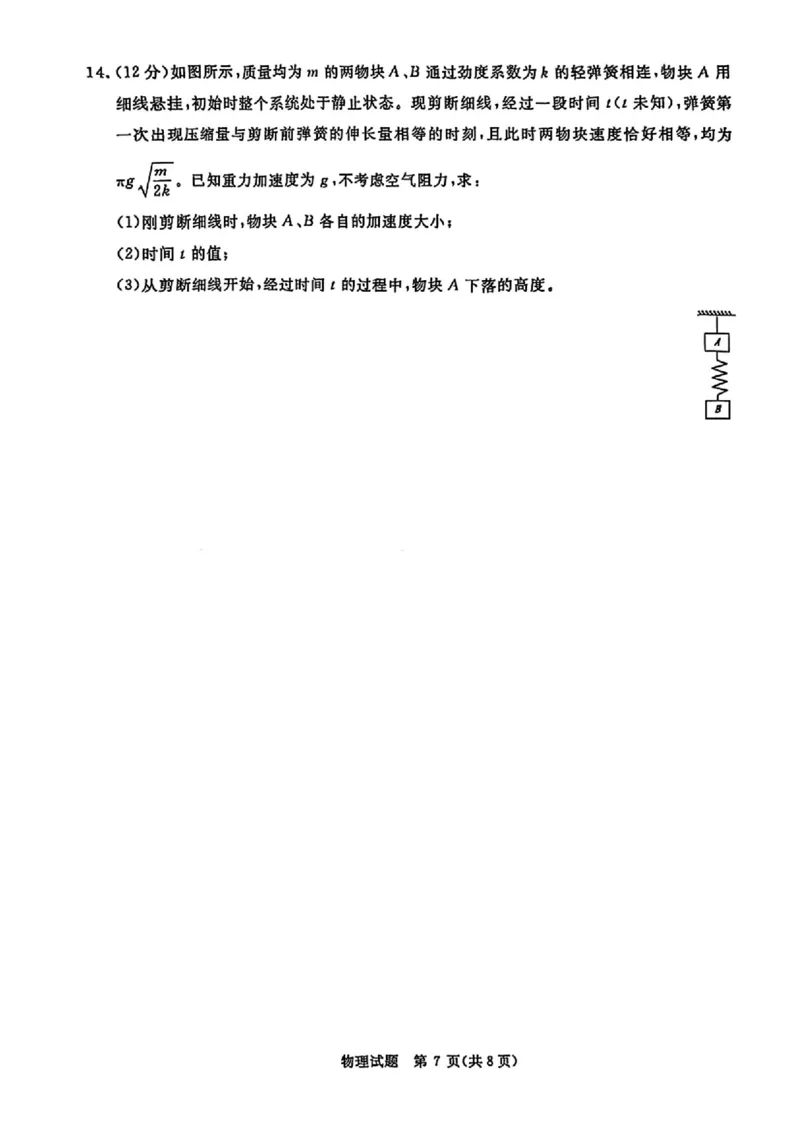 物理_2025年4月_2504172025届河南省青桐鸣高三4月大联考（全科）_2025届河南省青桐鸣高三4月大联考物理
